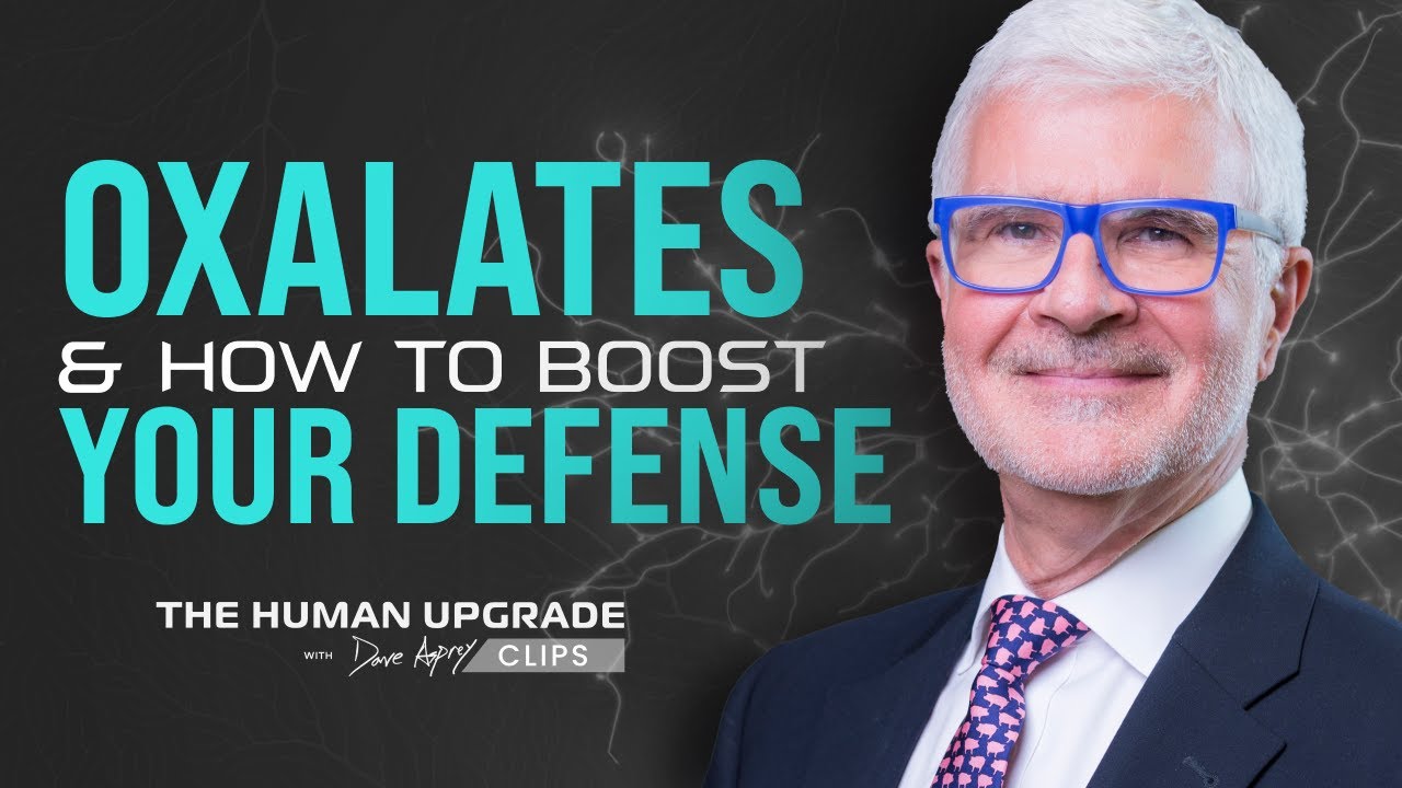 The Real Issue With Oxalates | Dr. Steven Gundry x Dave Asprey